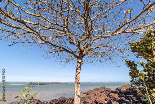 paisagem natural na cidade de Aracruz, Estado do Espírito Santo, Brasil photo