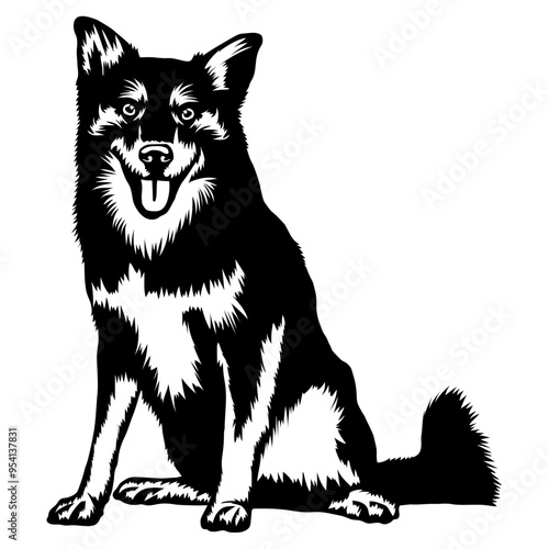 Sitting Icelandic Sheepdog