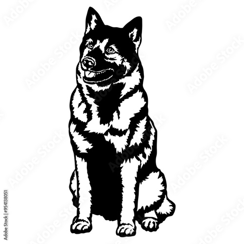 Sitting Norwegian Elkhound