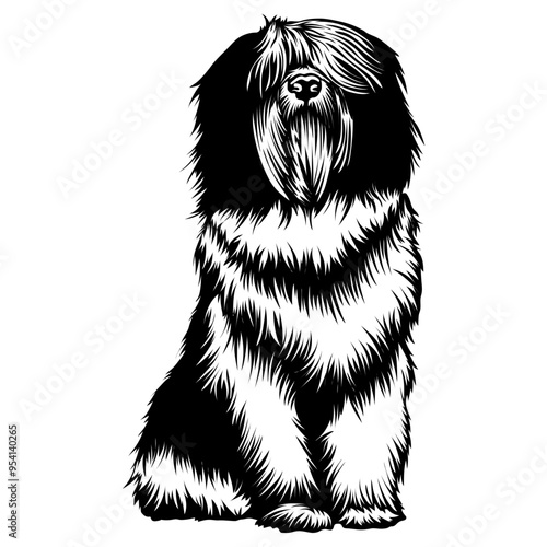 Sitting Polish Lowland Sheepdog