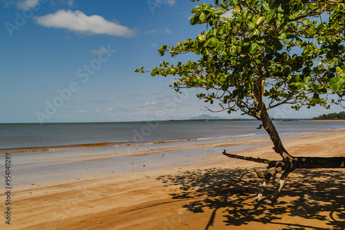 paisagem natural na cidade de Aracruz, Estado do Espírito Santo, Brasil