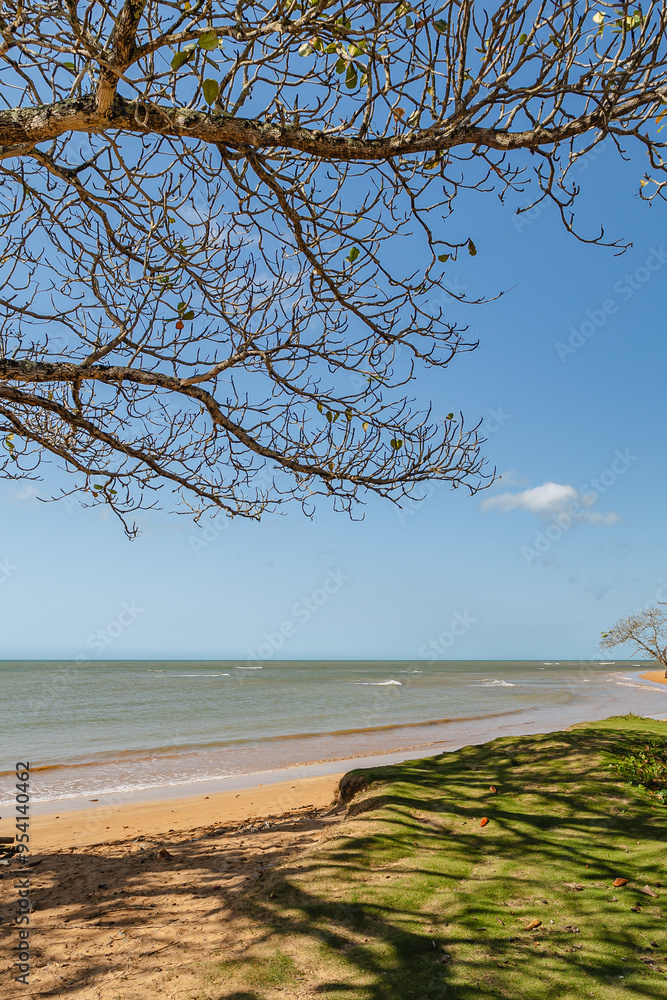 paisagem natural na cidade de Aracruz, Estado do Espírito Santo, Brasil paisagem natural na cidade de Aracruz, Estado do Espírito Santo, Brasil