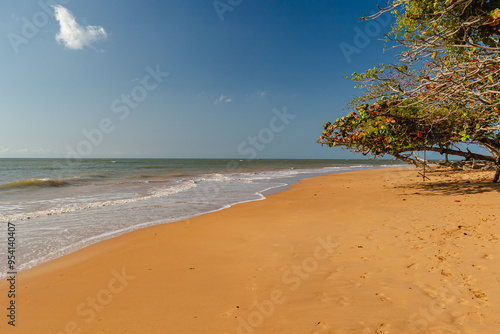 paisagem natural na cidade de Aracruz, Estado do Espírito Santo, Brasil