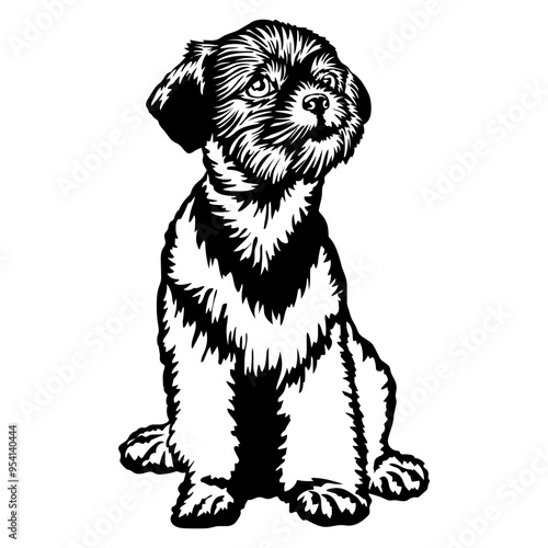 Sitting Shihpo