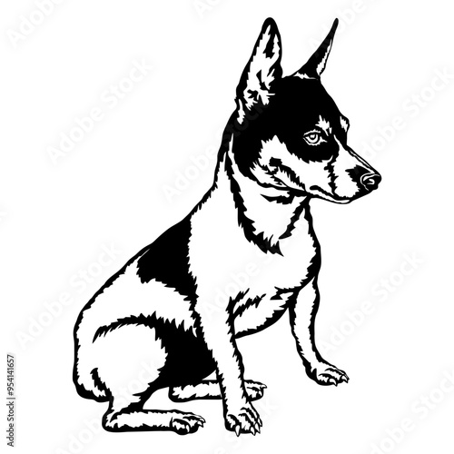 Sitting Teddy Roosevelt Terrier