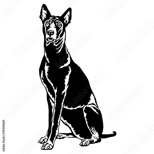 Sitting Thai Ridgeback
