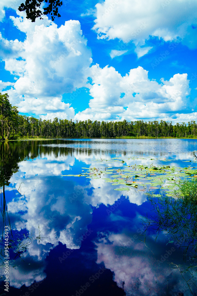 Obraz premium Tampa, FL, USA: 09 01 2024: The landscape of lake park in Tampa, Florida