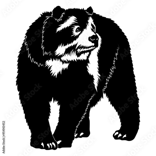 Spectacled Bear - Andean Bear