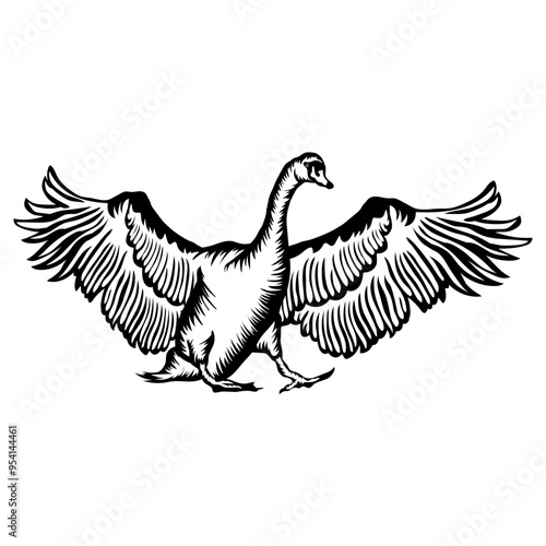 Swan