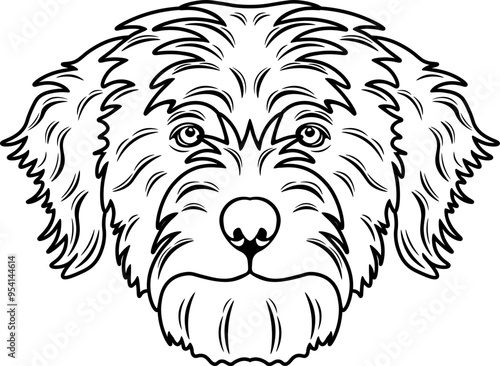 Tibetan Terrier