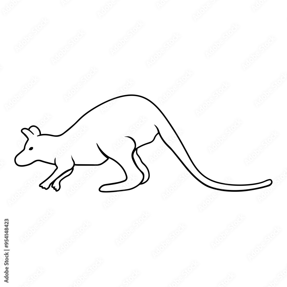 Fototapeta premium Wallaby Side View Outline