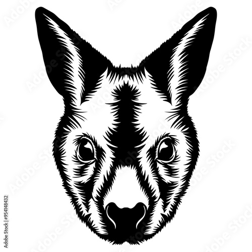 Wallaby Face