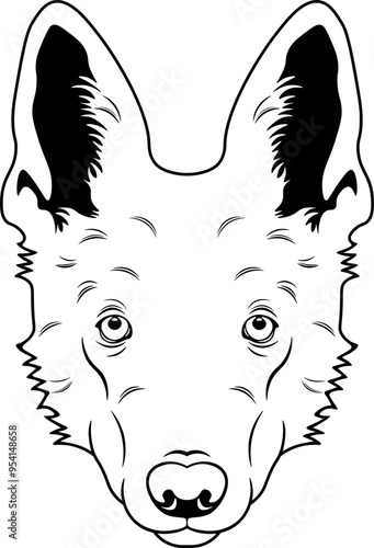 White Swiss Shepherd