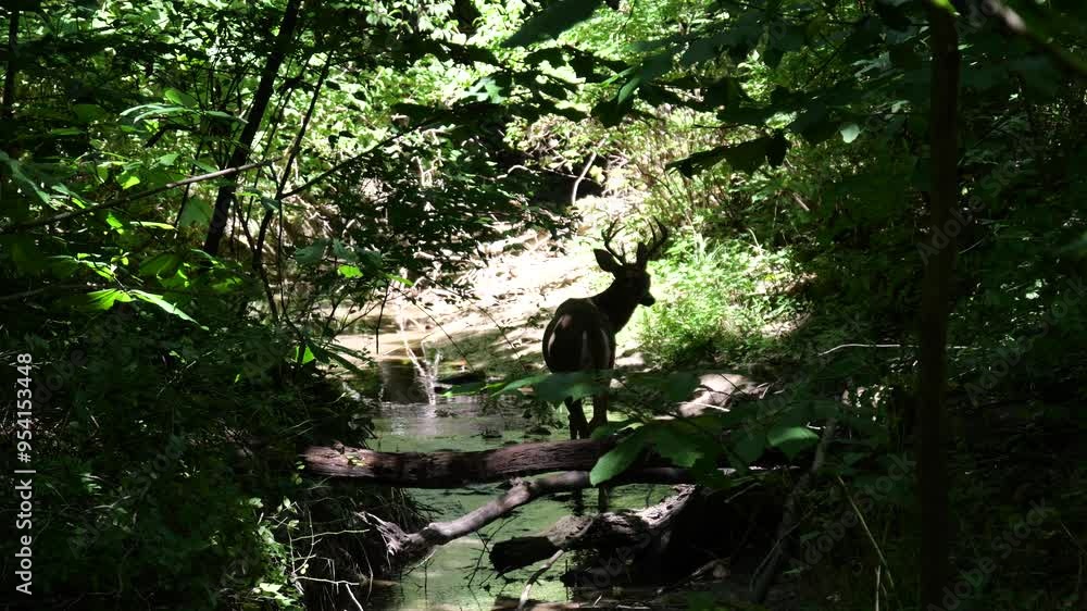 Parkville Nature Sanctuary on the Missouri River Parkville Nature Sanctuary on the Missouri River