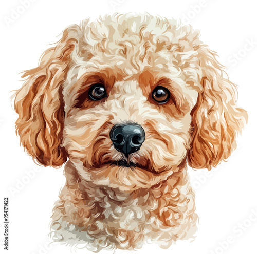 Poodle Dog Face: An elegant, stylized illustration of a Poodle's face, highlighting the breed's curly fur and intelligent eyes. Isolated on a white background.
