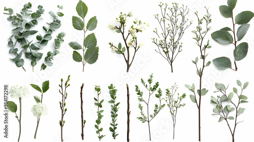 Assortment of green branche...