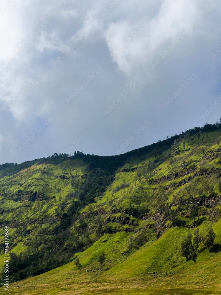 Naklejka premium Old crater walls in Bromo Tengger Semeru National Park including farm land in the foreground.