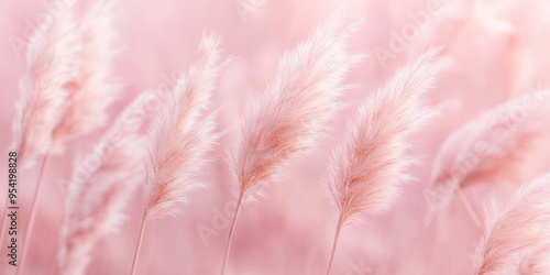 The pampas have a gentle, fluffy texture with shades of pale pink, light lavender, soft beige, and mint green