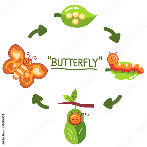 The life cycle of a butterfly starts from egg, larva, pupa, and adult butterfly. In cartoon illustration style. Science concept for children