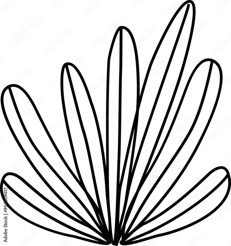 Boho illustration Boho illustration