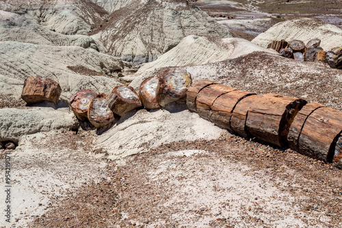 Petrified Forest National Park, Arizona-USA