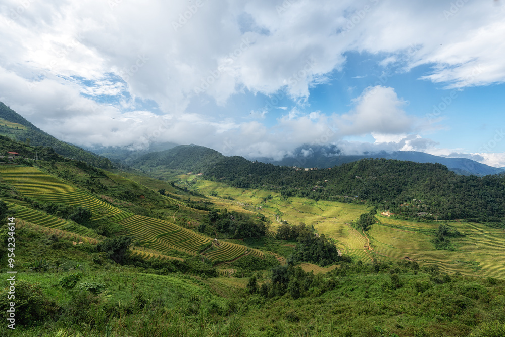 Rice Terrace View in Sapa Rice Terrace View in Sapa