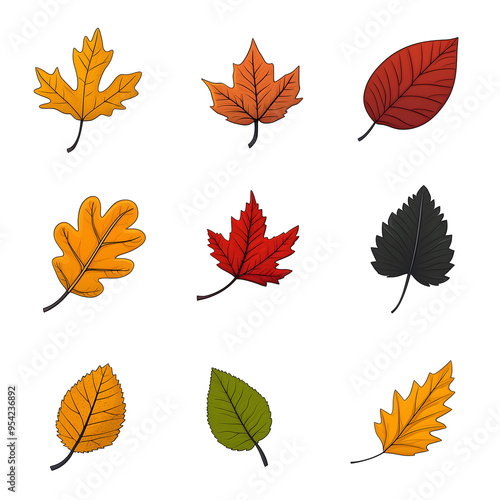 Vector Set of Nine Autumn Leaves in Various Colors and Shapes on Black Background