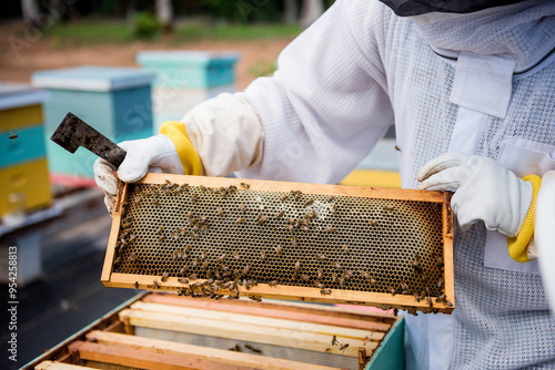 Fotografía Bee keeper holding honeycomb frame with bees while working on apiary