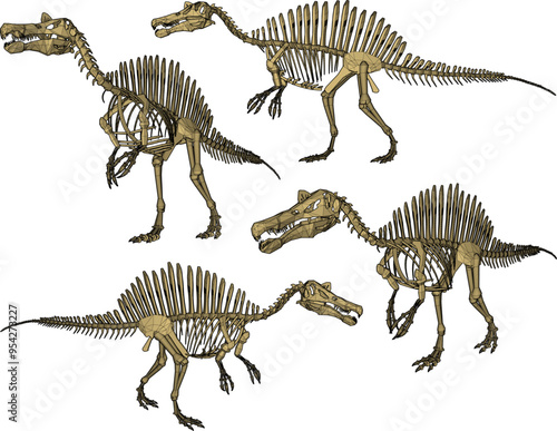 Vector sketch illustration silhouette design image of dinosaur animal skeleton toy room decoration and wardrobe shelf 