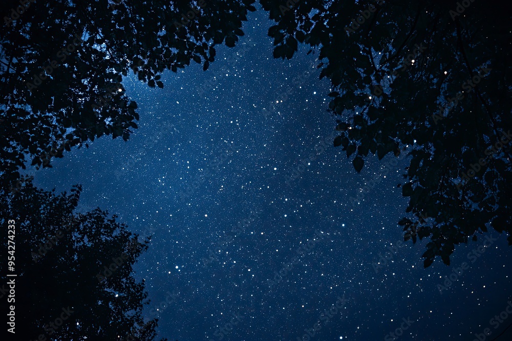 Stars and night sky. Starry sky background. Looking up at the stars , ai Stars and night sky. Starry sky background. Looking up at the stars , ai