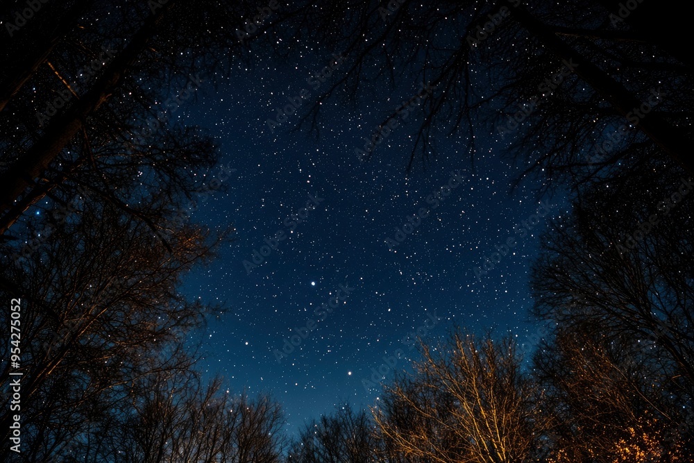 Fototapeta premium Stars and night sky. Starry sky background. Looking up at the stars , ai