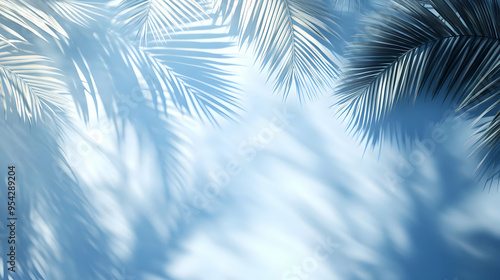 Tropical Palm Leaf Shadows on Blue Background