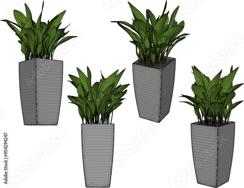 Vector sketch illustration silhouette design image of ornamental plants in pots for home interior 