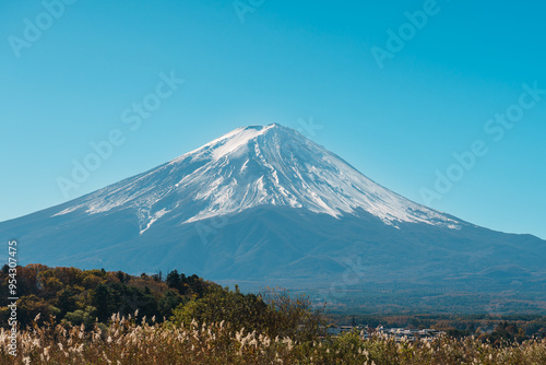 Mount Fuji with meadow field at Lake Kawaguchi. Mt Fujisan at Oishi Park, Yamanashi, Japan. Landmark for tourists attraction. Japan Travel, Destination, Vacation and Mount Fuji Day concept