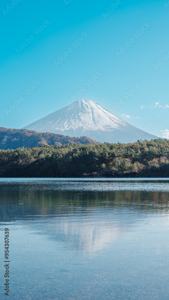 Obraz premium Mount Fuji at lake Saiko near Kawaguchiko, one of the Fuji Five Lakes located in Yamanashi, Japan. Landmark for tourists attraction. Japan Travel, Destination, Vacation and Mount Fuji Day concept