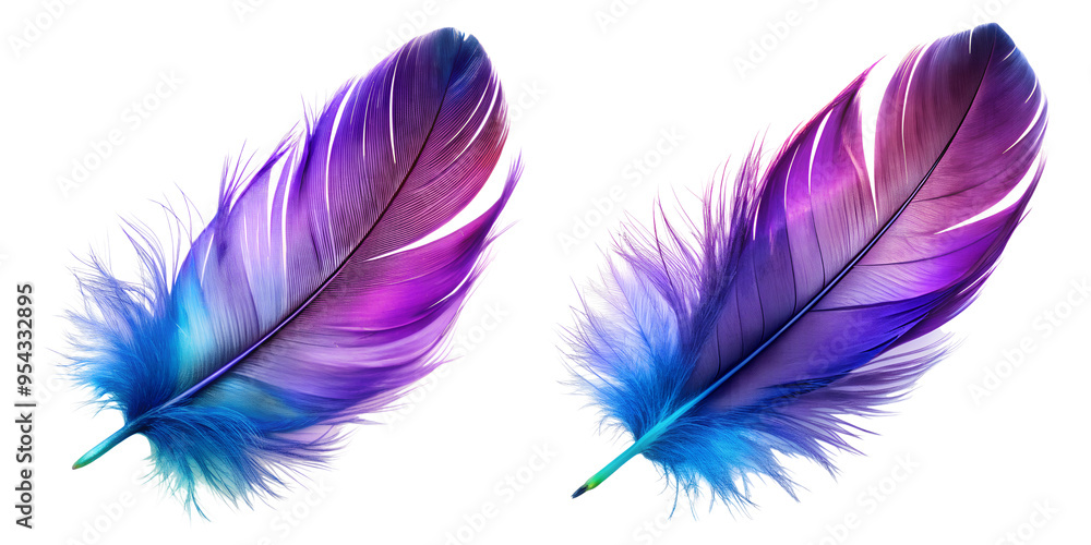 Set of Realistic purple father isolate on transparent background Set of Realistic purple father isolate on transparent background