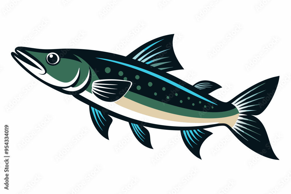 Fototapeta premium A pike fish vector illustration