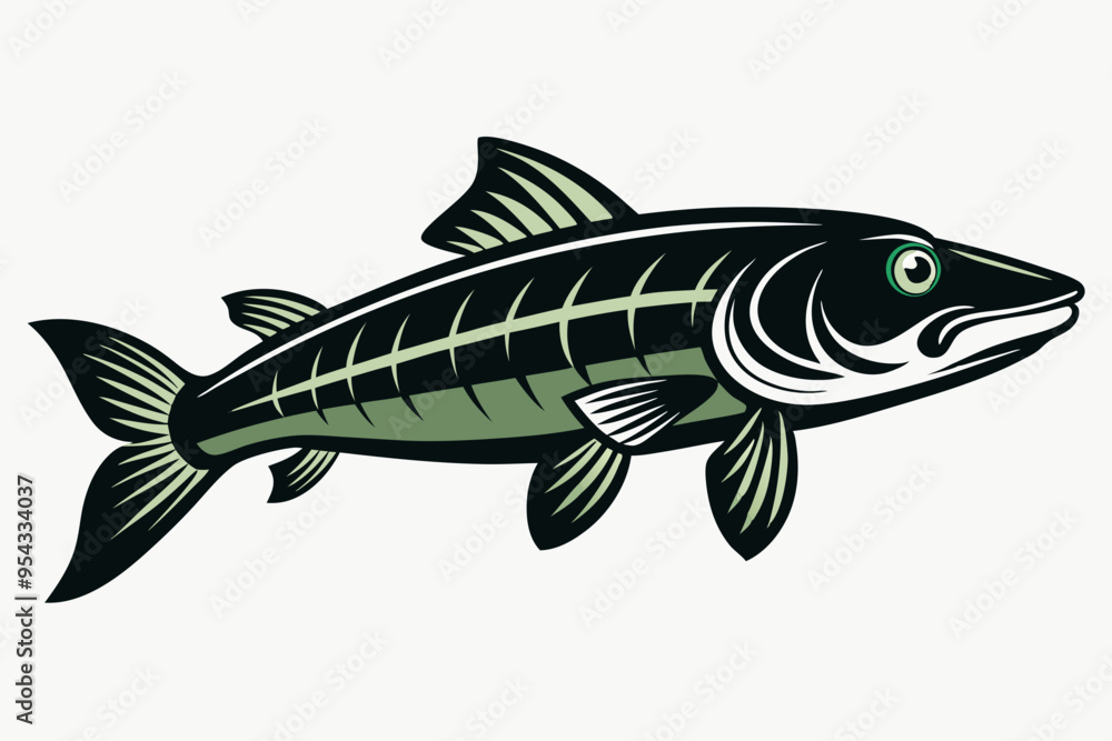 A pike fish vector illustration
A pike fish vector illustration