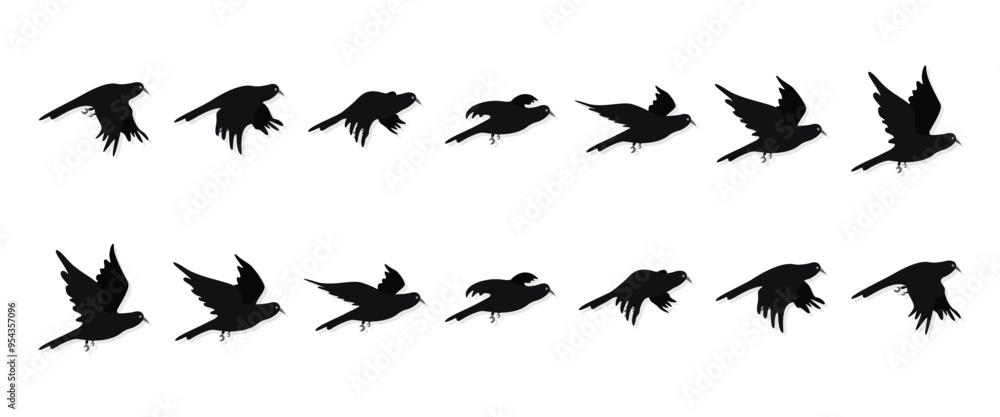 Set of crow flying cycle, black sequences flying raven silhouette, vector illustration isolated on white background Set of crow flying cycle, black sequences flying raven silhouette, vector illustration isolated on white background