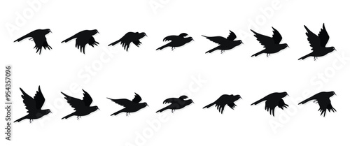 Set of crow flying cycle, black sequences flying raven silhouette, vector illustration isolated on white background