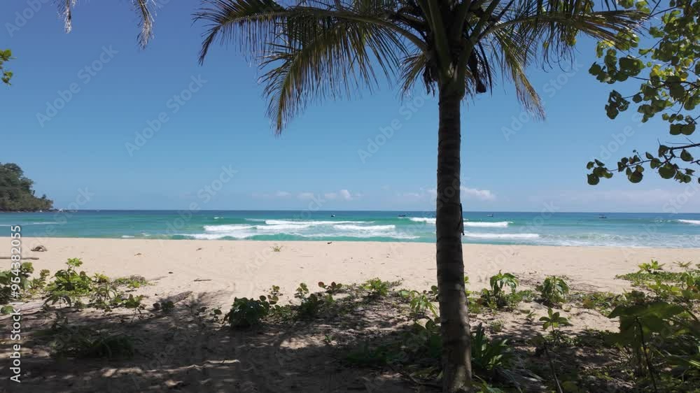 Tropical beach with palm trees, blue sky, and calm ocean waves on a sunny day