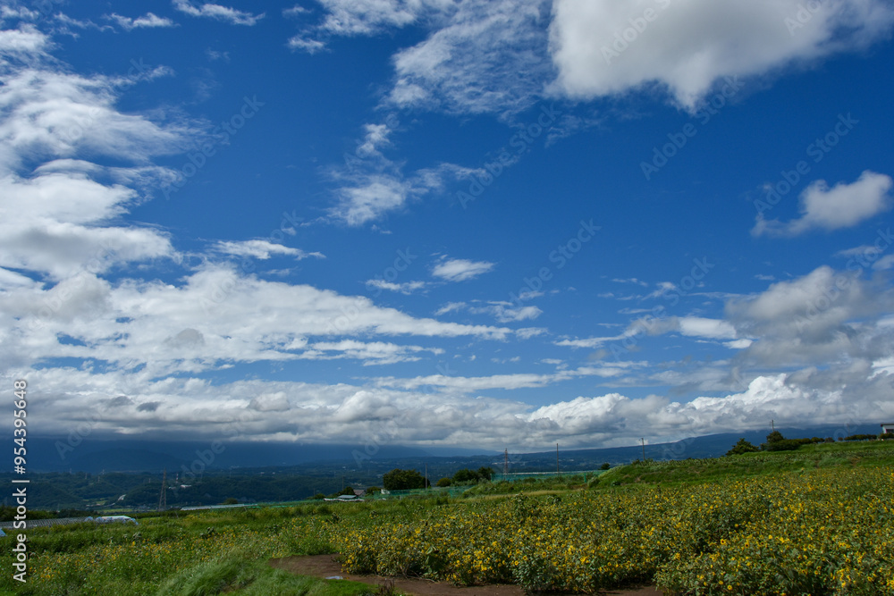 Fototapeta premium 高台から眺める北杜市の風景と周辺の山並み