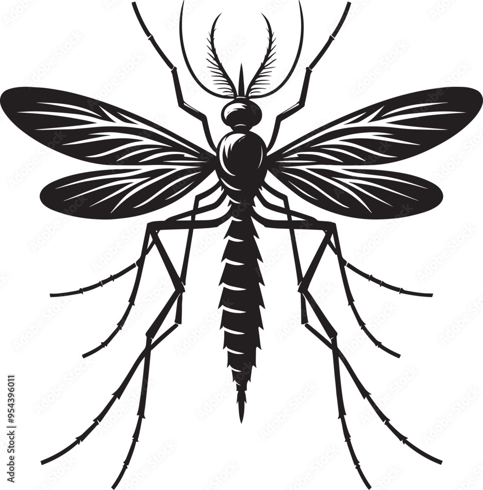 Mosquito Silhouette isolated on white background Minimalist mosquito vector illustration Mosquito Silhouette isolated on white background Minimalist mosquito vector illustration