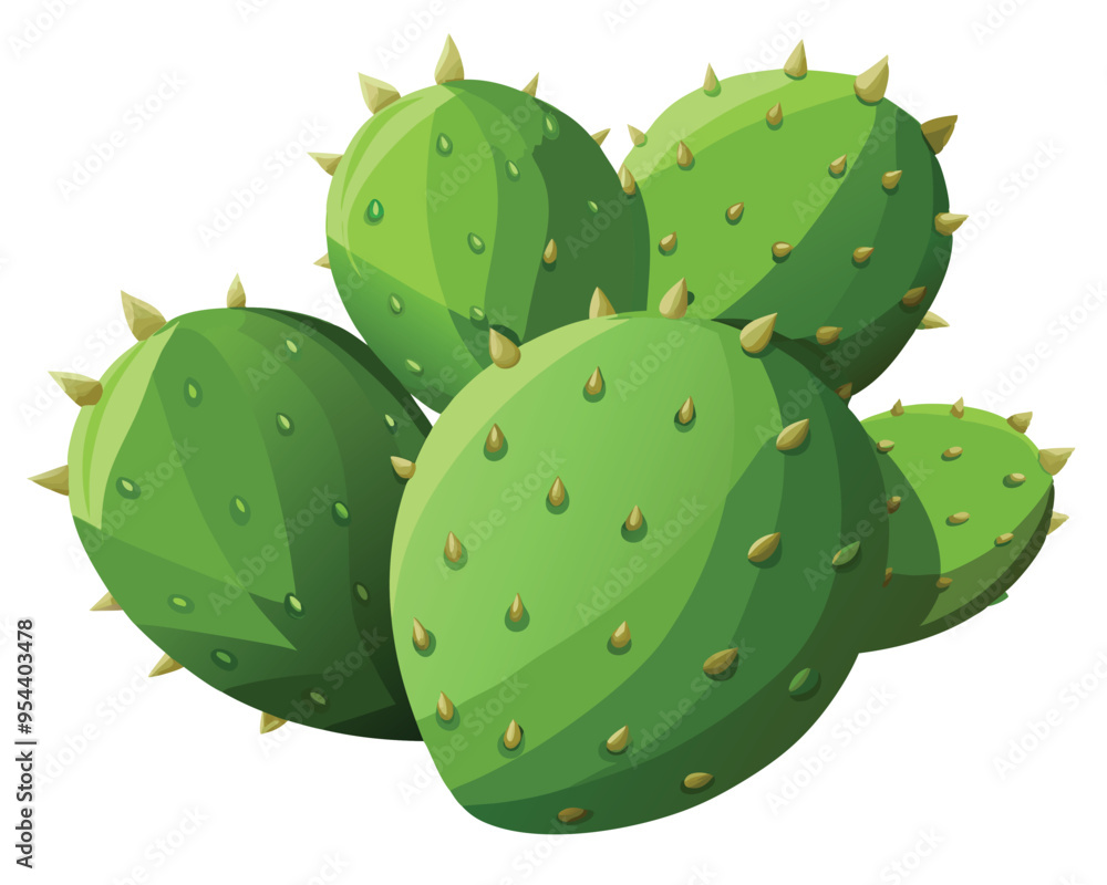 Nopales vector illustration isolated on white background Nopales vector illustration isolated on white background
