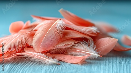  A blue table holds a pink feather mound and a pen-bearing sheet of paper nearby