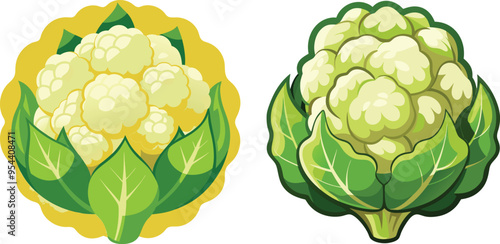 Cauliflower outline art vector art