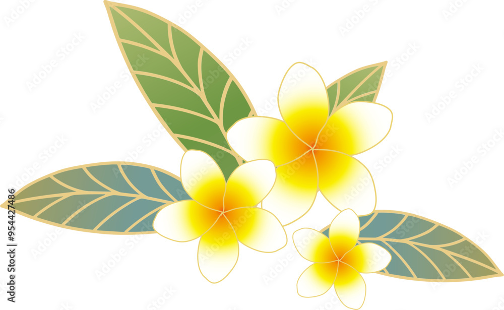 Obraz premium Plumeria illustration tropical plant flower