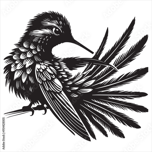 Costa's hummingbird silhouette - Hummingbird Bird Clipart - Costa's hummingbird preening feathers illustration in black and white
