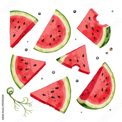 Watermelon Slices: A Colorful and Vibrant Summer Fruit Illustration photo