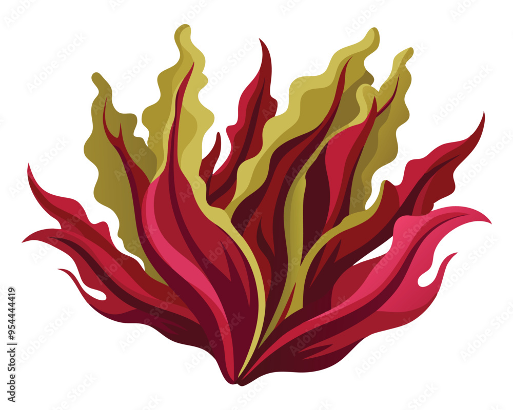 Dulse vector illustration isolated on white background Dulse vector illustration isolated on white background